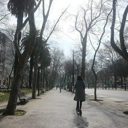 My 리스본